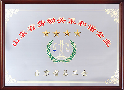 山東省勞動關(guān)系和諧企業(yè)
